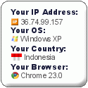 widget ip address