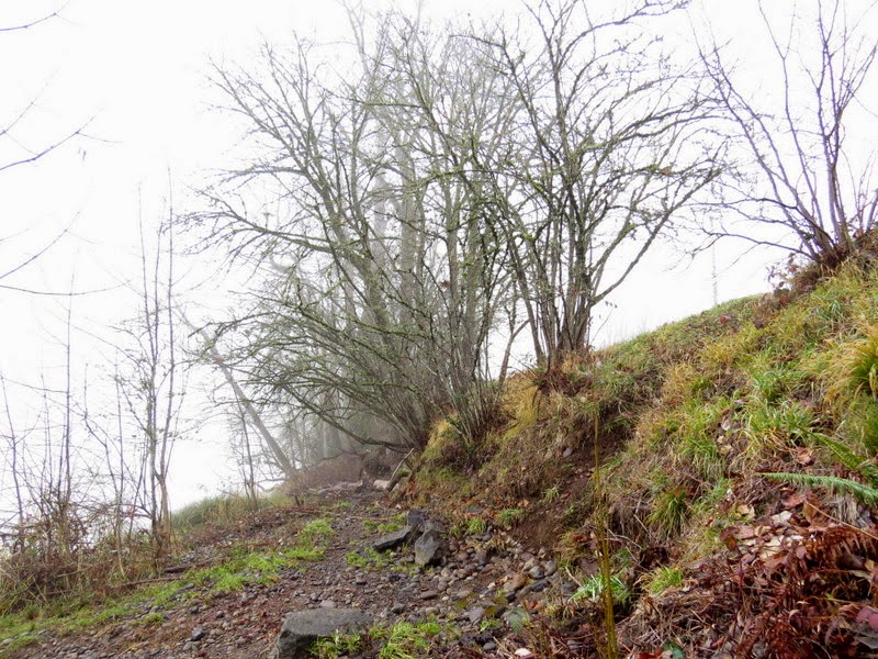 Photos by Jan Off D Street in Springfield,Oregon/Then Day Island Park