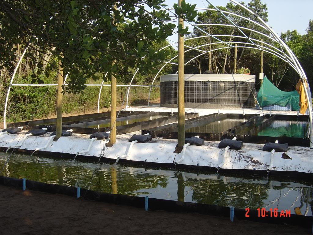 High Tunnel Aquaponics: High Tunnel Aquaponics in South Africa
