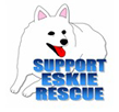 American Eskimo Dog Rescue