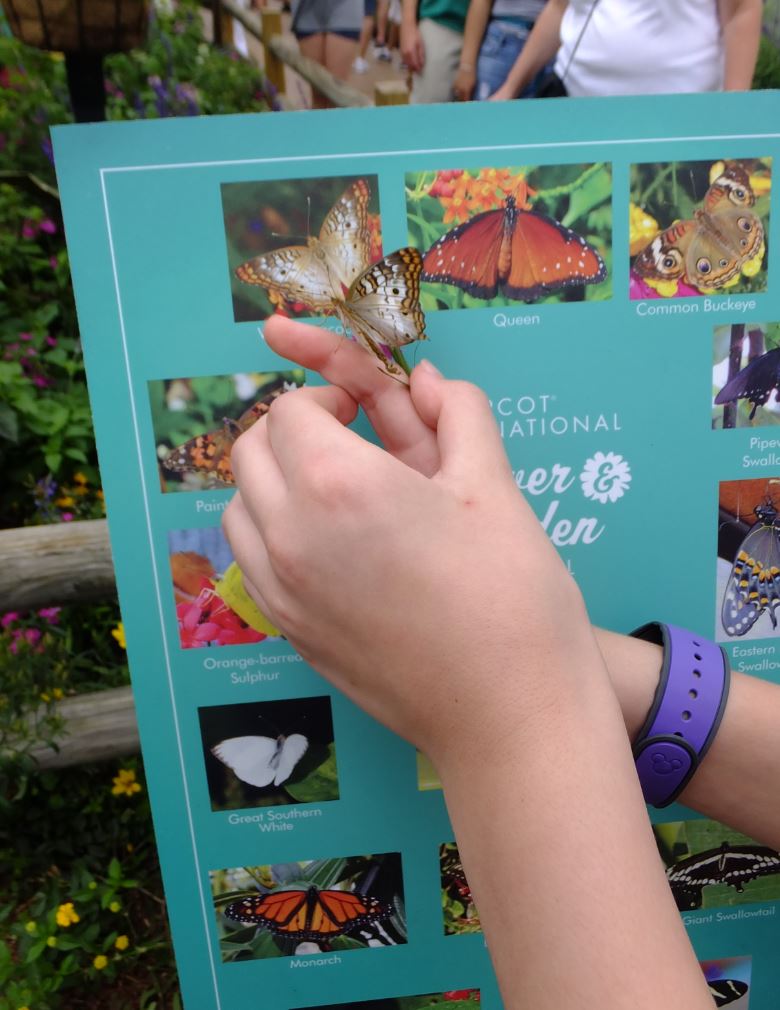 The Complete guide to Walt Disney World's EPCOT in Spring