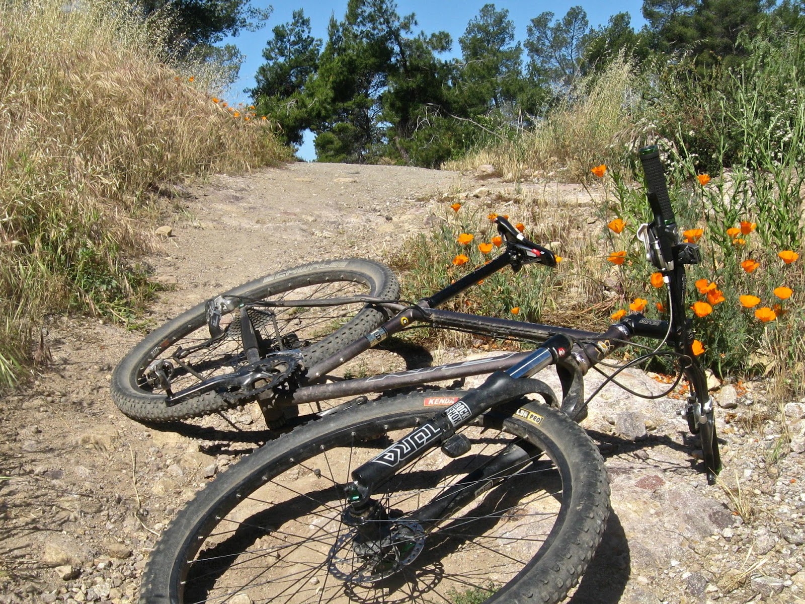 bonelli park mtb