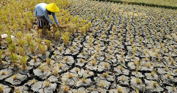 SekedarBerbagi Penyebab dan Dampak Kekeringan, serta Cara