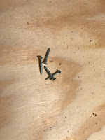1 1/2 inch wood screws
