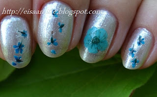 NOTD: 28/05/2012