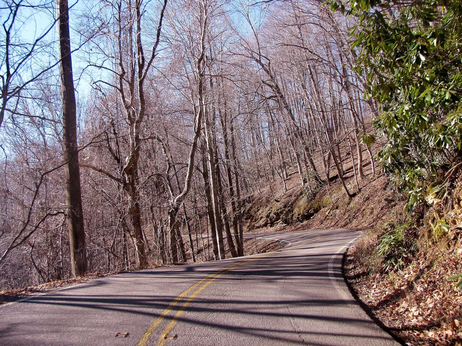 Tales From The Wood Booger By Coalition Hiking On Clinch Mountain To