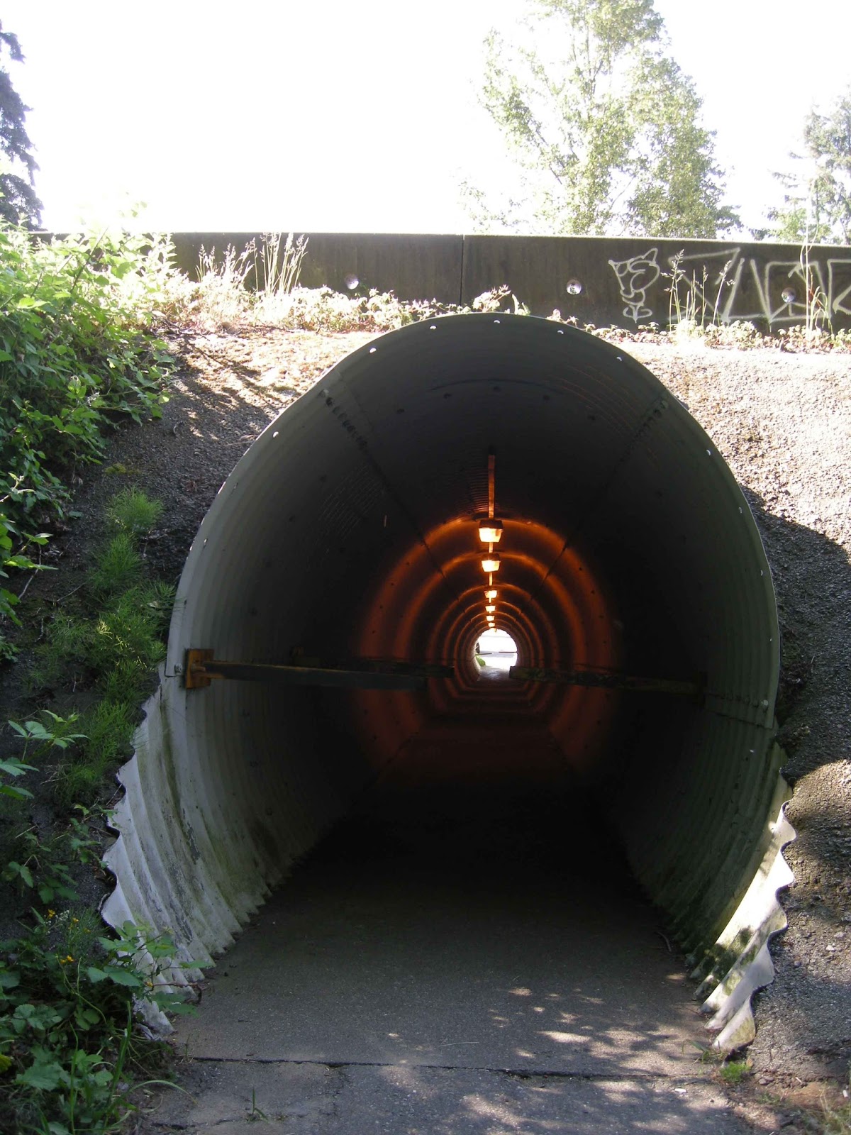 Blog Collective A pedestrian tunnel beneath the Upper Levels