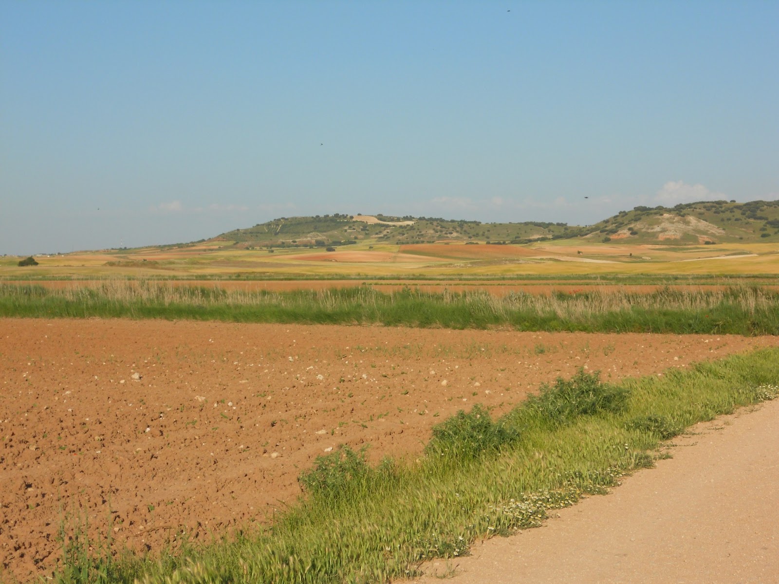 Foto de Castillo y Ermita De San Miguel en Palomares del Campo, Cuenca