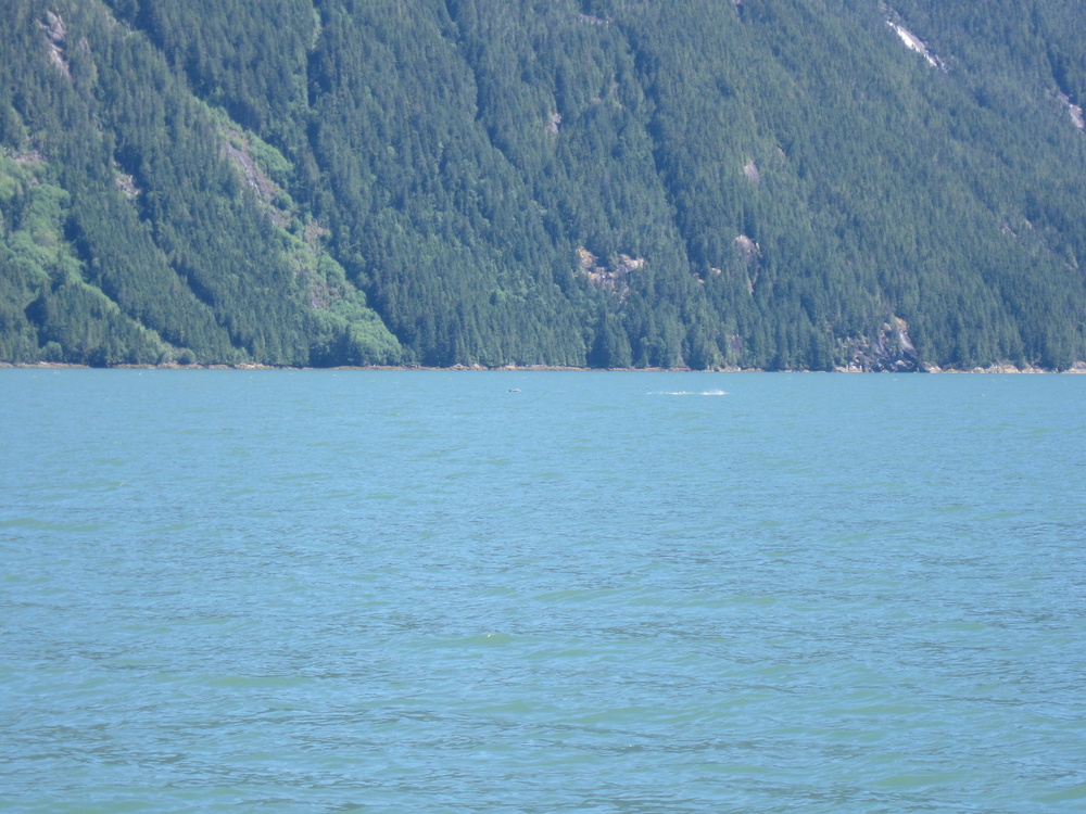 mv.VikingStar Inlet