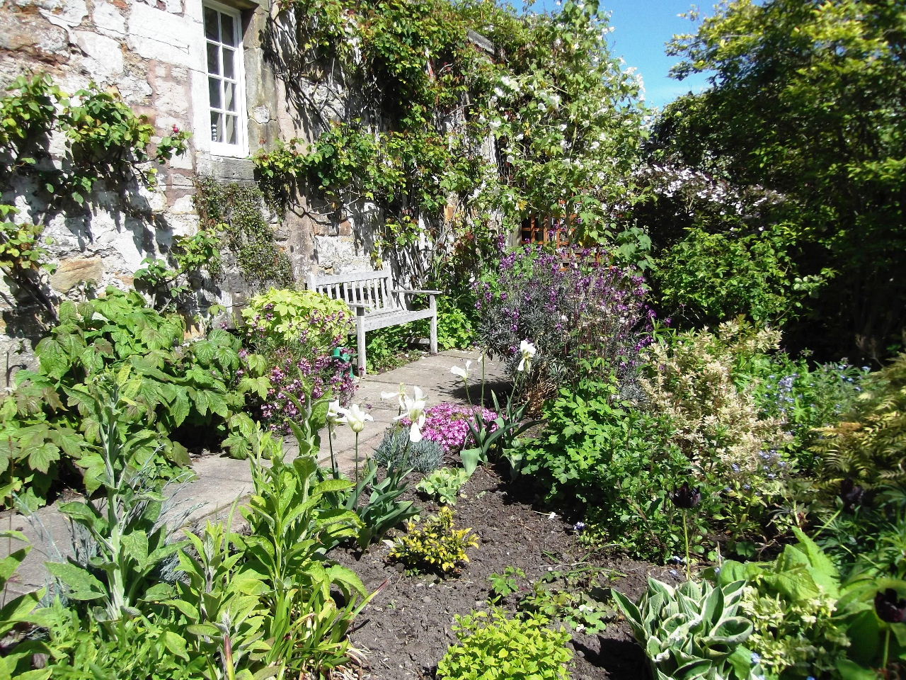 Largo Baywatch Fife Diamond Garden Festival Day 3