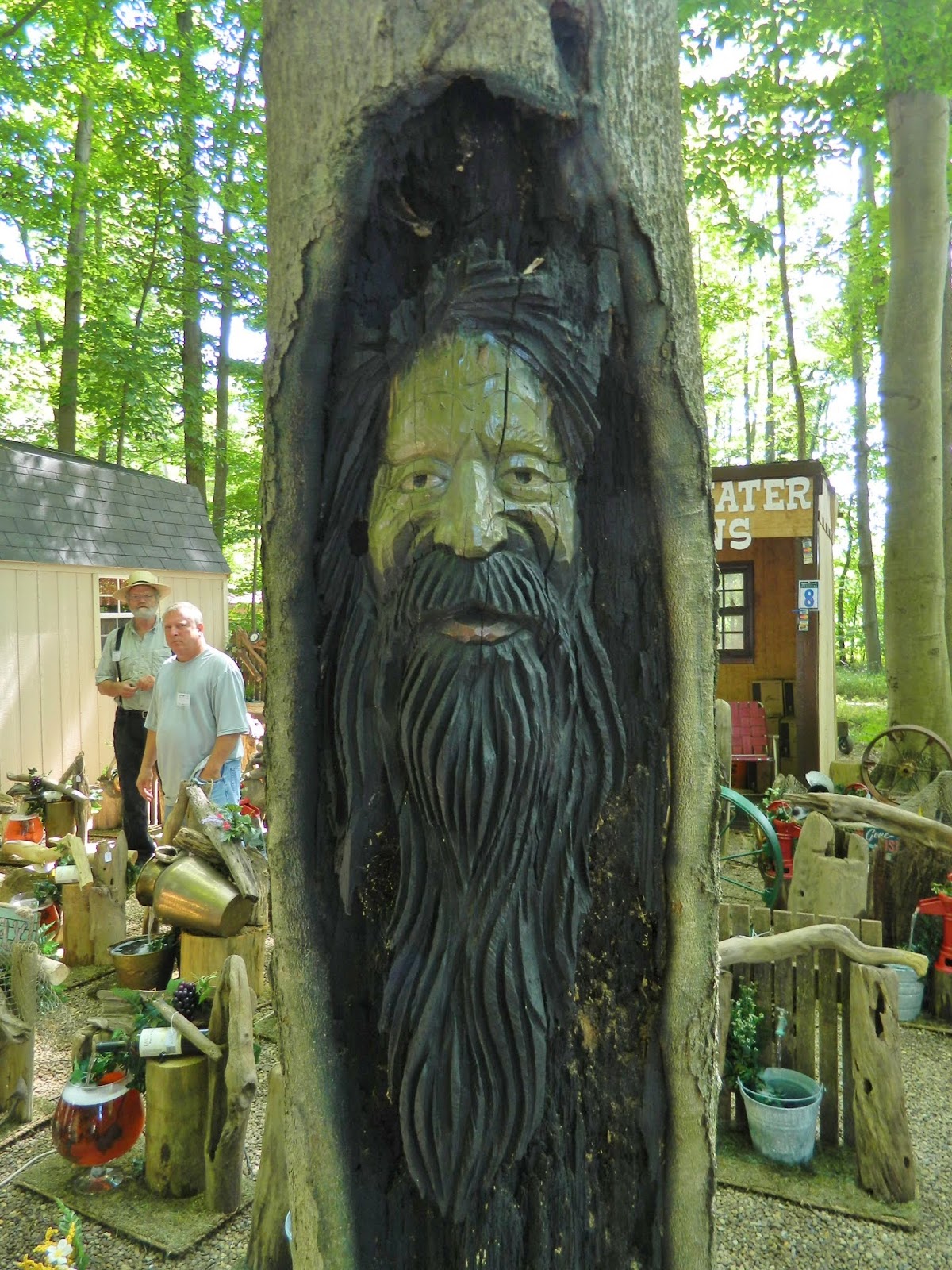 Shaker Woods Festival Review Columbiana