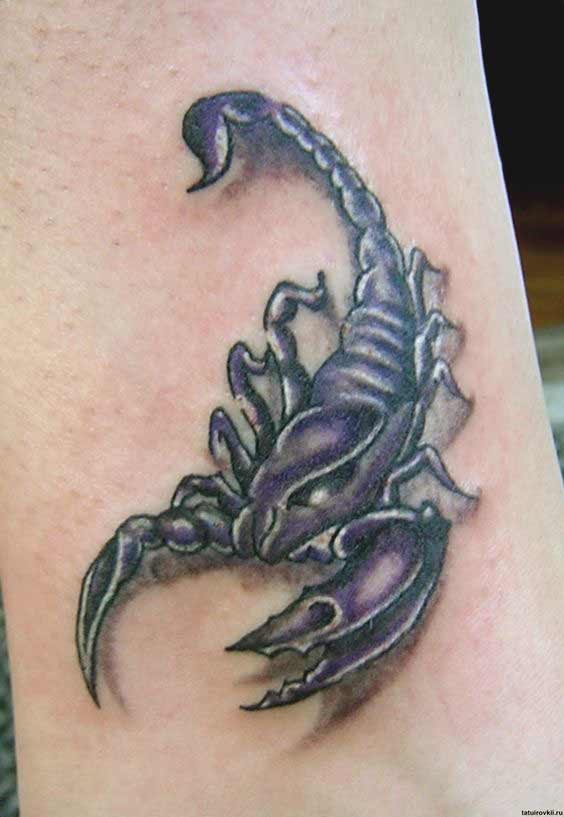 Scorpion tattoos design on arm