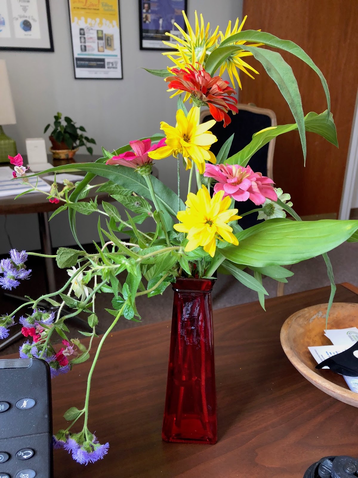 Life After Peonies Tah Rah Rah Bloom A Day Continues Pink