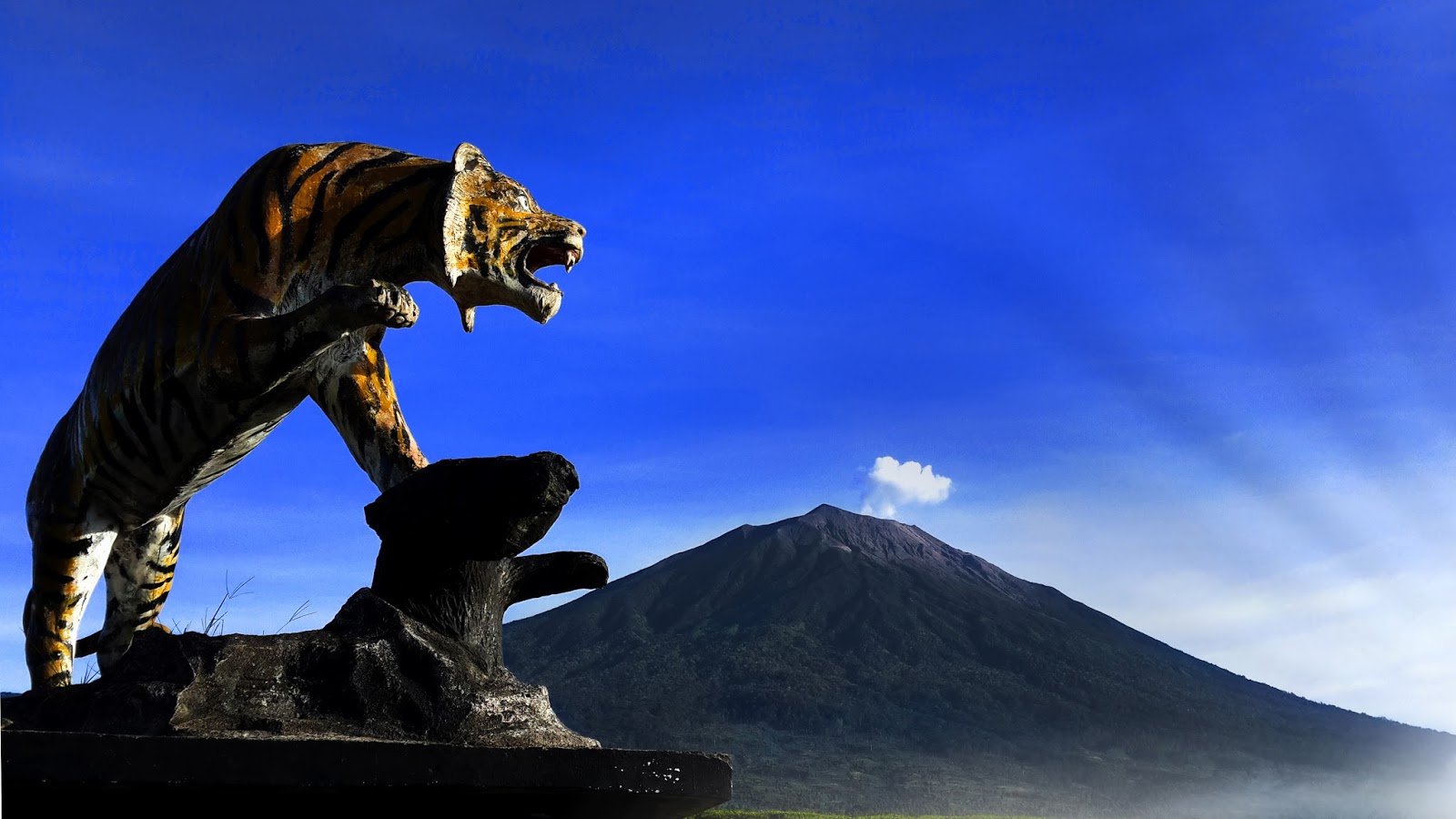 Picu Adrenalin Dengan Trek Ekstrem Gunung Kerinci Shelter3