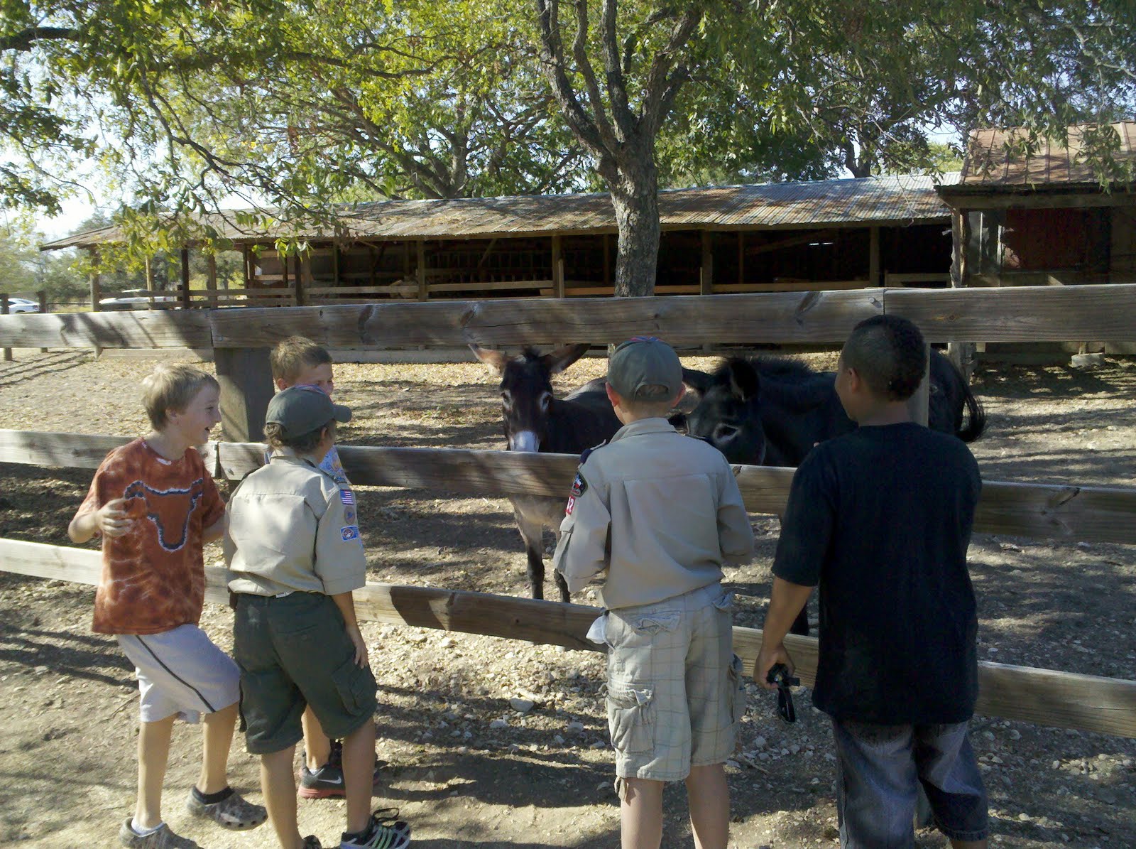 Campsite / Lake / Historical Site Reviews Texas Berry Springs Park TX