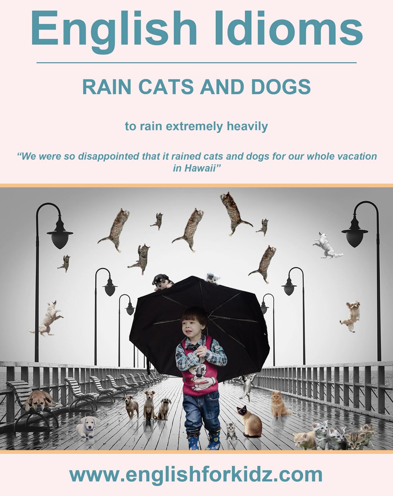 Idioms about rain. Rain идиомы. идиомы rain. идиомы it's raining cats and dogs. Rain cats and dogs идиома перевод.