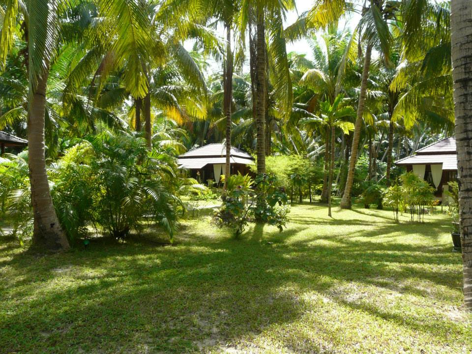 Koh Phangan House for rent Coconut Lane Villas 22000฿