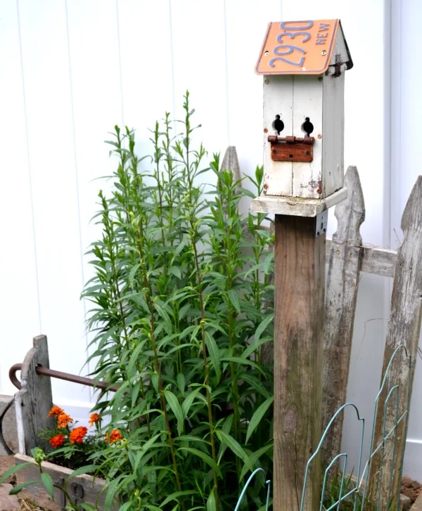 DIY Garden Birdhouses www.homeroad.net