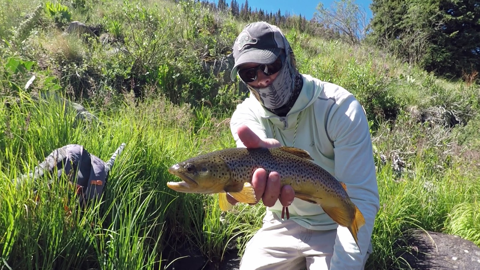 Looknfishy Fly Fishing Southwest Colorado The Conejos Drainage