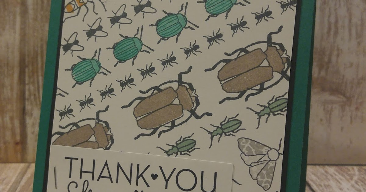 Artistic Embellishments Thank you from all of us BEETLES & BUGS