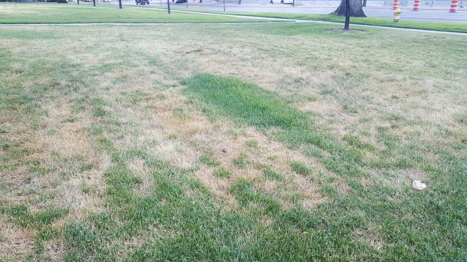 COHorts Turf Rant Believe me, it IS an irrigation problem!