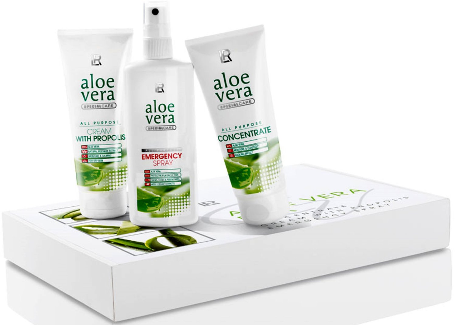 Evde Aloe Vera Bakımı İpuçları ve Kullanım Alanları Evde Aloe Vera Bakımı İpuçları ve Kullanım Alanları