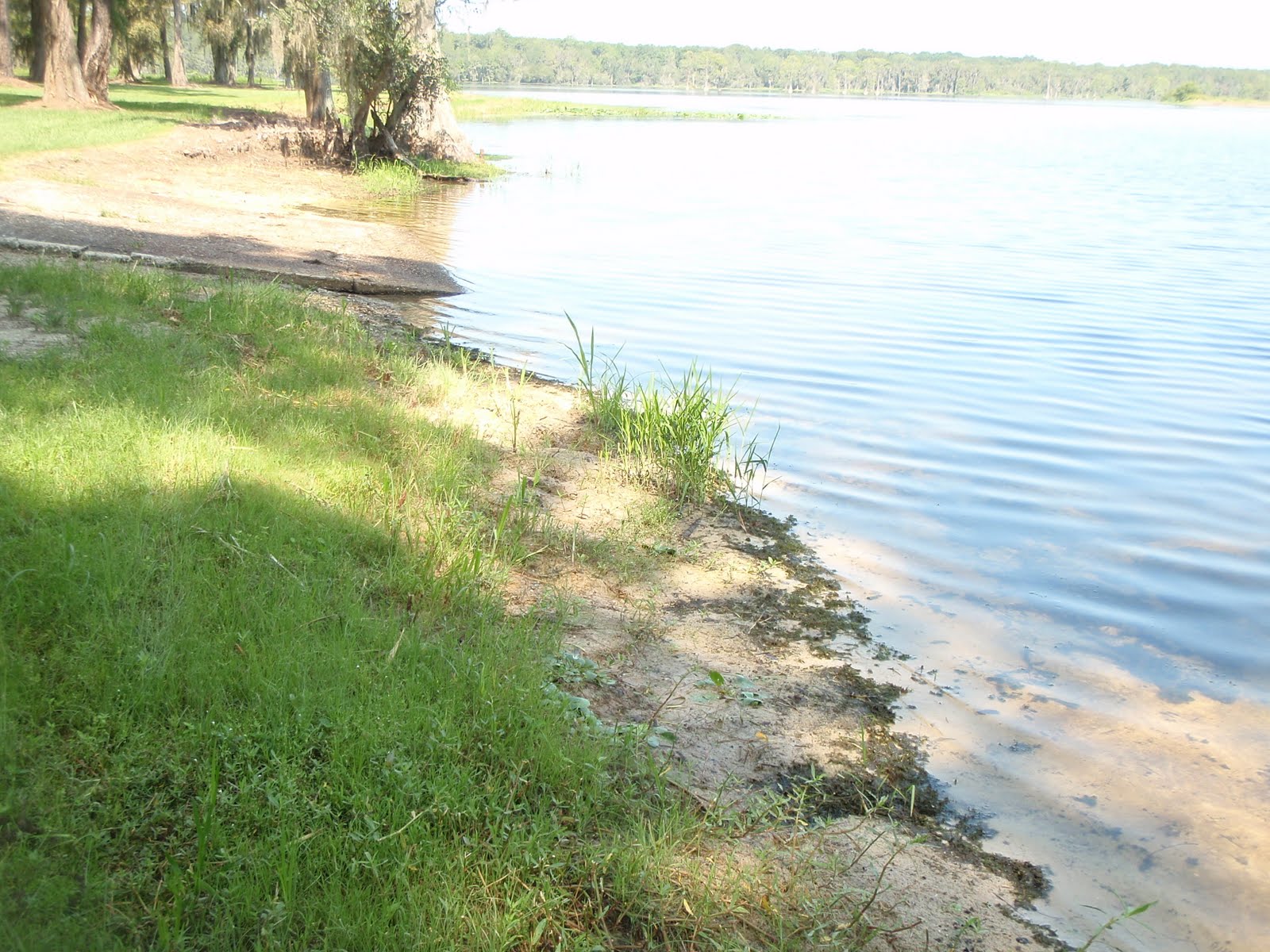 SOUTH KAYAK FISHING Lake Nichols Pavo, GA Brooks County