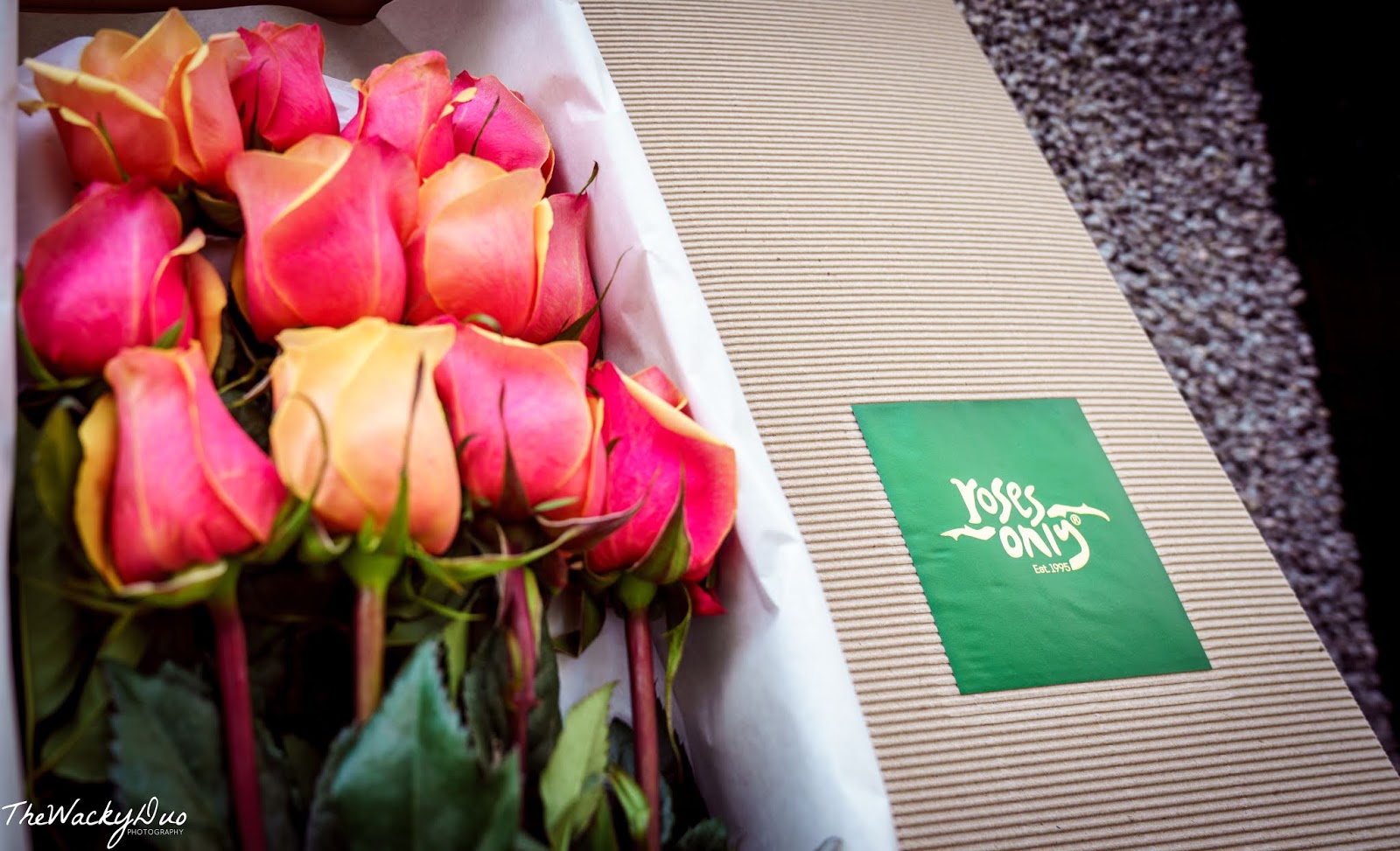 Korean Rose Flower Stock Photos Korean Rose Flower Stock Images