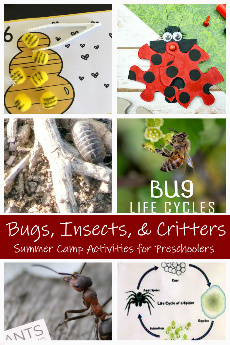 DIY Summer Camp Activities Bugs & Insects Theme! Preschool Powol Packets