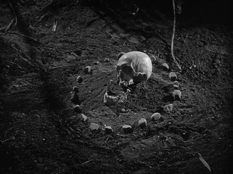 Uma caveira no chão batido com pedras colocadas ao seu redor em círculo