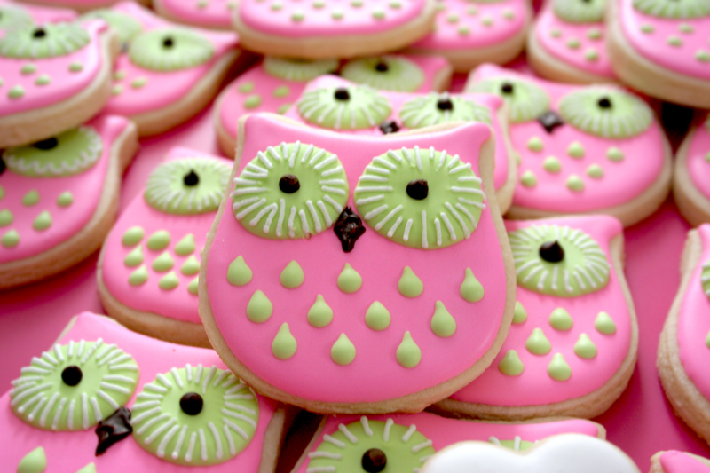 http://3.bp.blogspot.com/-T7exsn3kgjk/Tyrw65QJOyI/AAAAAAAAAec/7jMGGV4uPuY/s1600/owl+cookies.jpg