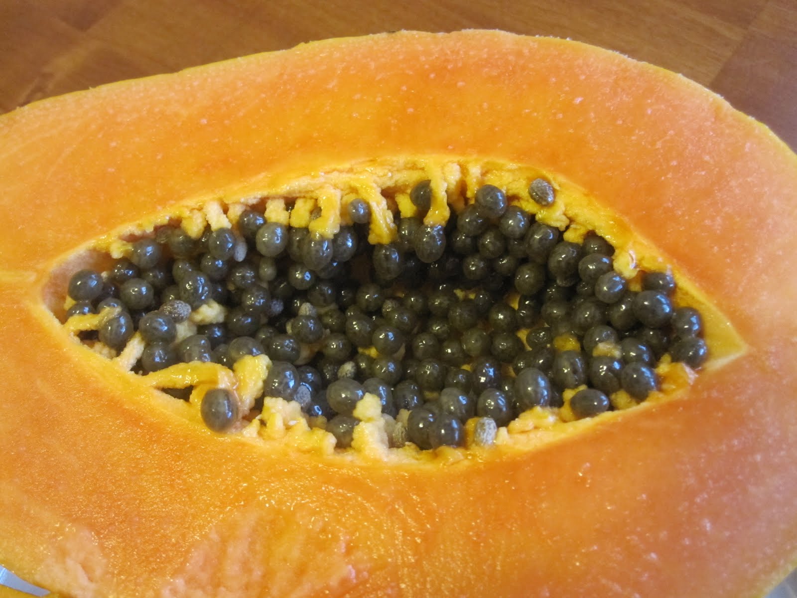 Cannundrums Vista Solo Papaya