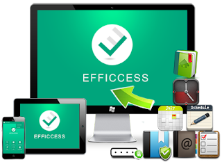 Efficient Efficcess Portable