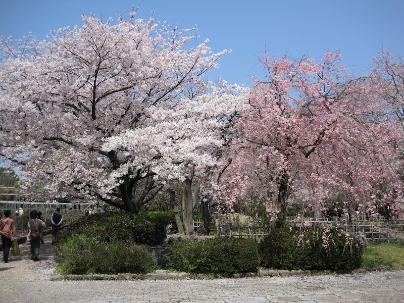 Istimewa Taman Bunga Sakura, Pot Bunga
