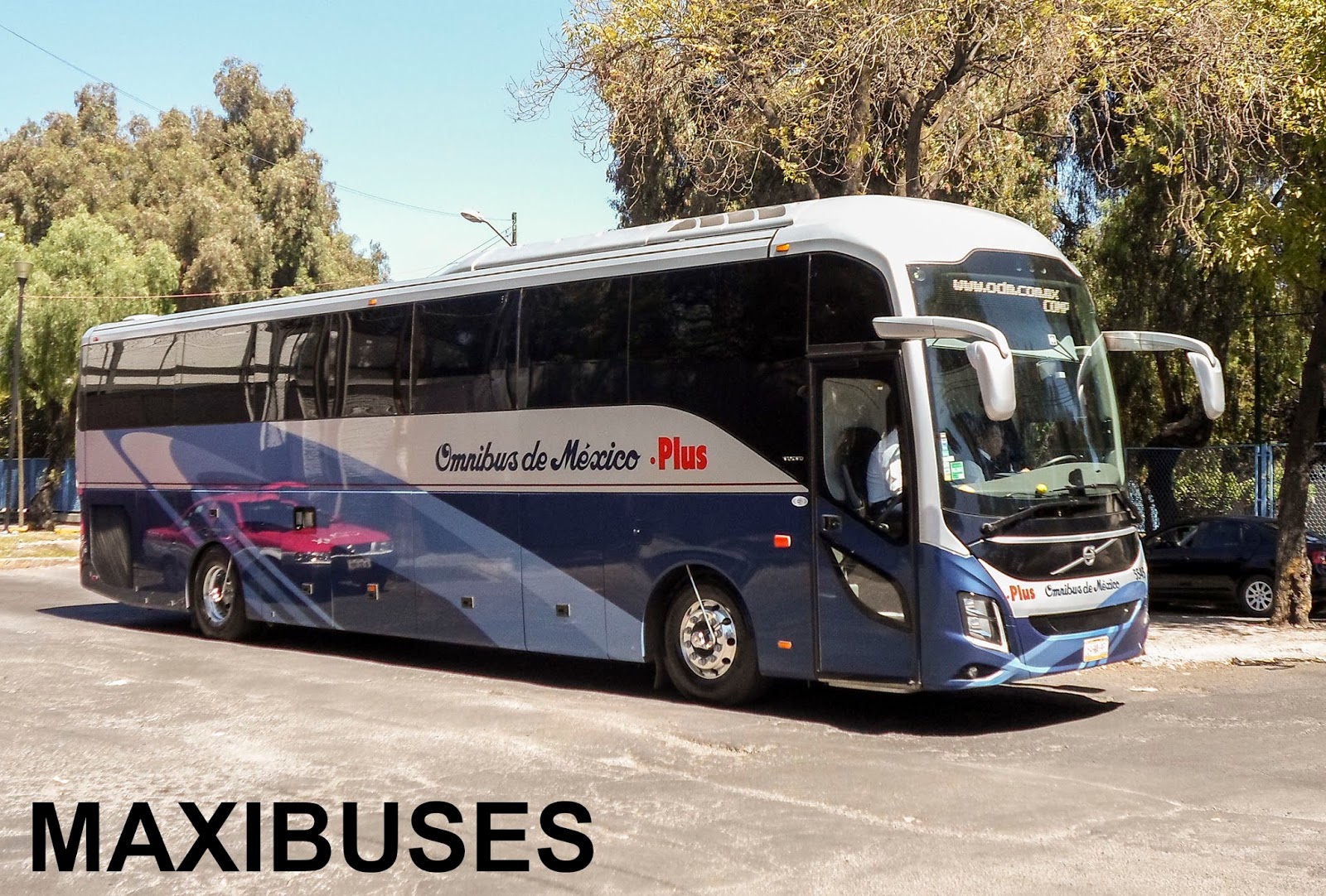 MAXIBUSES OMNIBUS DE MÉXICO PLUS