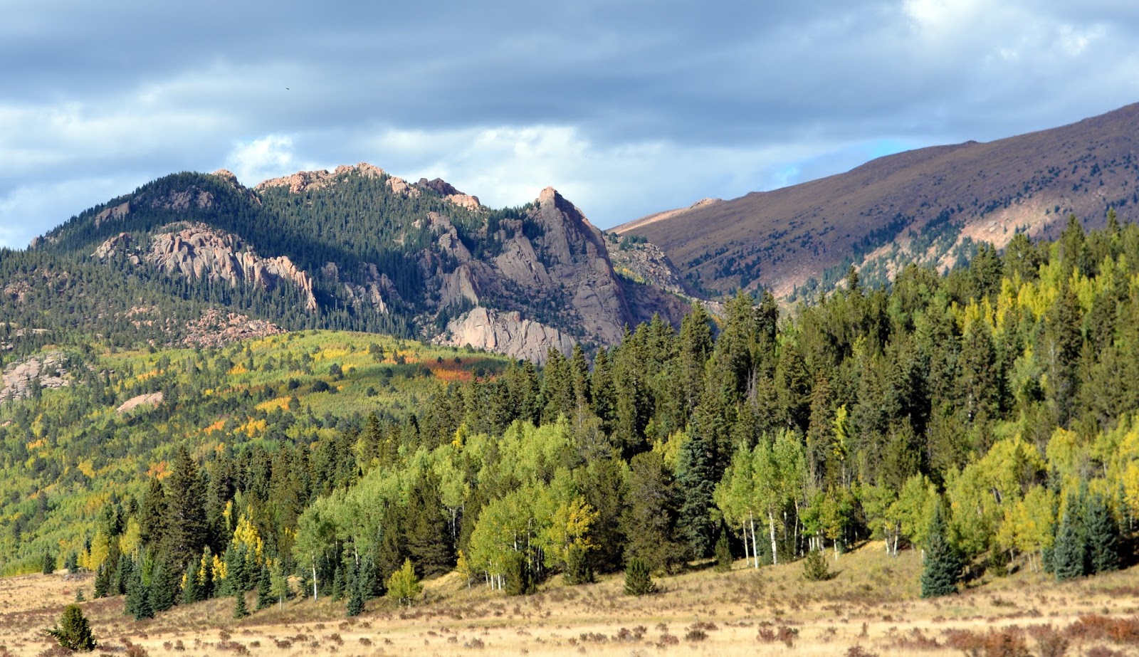 Mille Fiori Favoriti Cripple Creek Colorado, the World's Greatest Gold