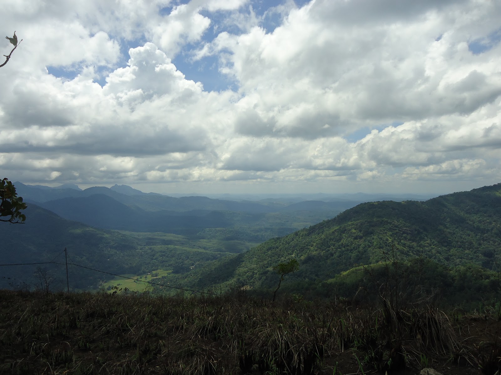 DSC09621.JPG