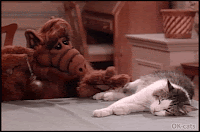 Art Cat GIF • Cinemagraph • Do not disturb a sleepy Cat. "Wake up lazy Cat, I’m talking to you!" Zzzz... Zzzz... (No fucks given)