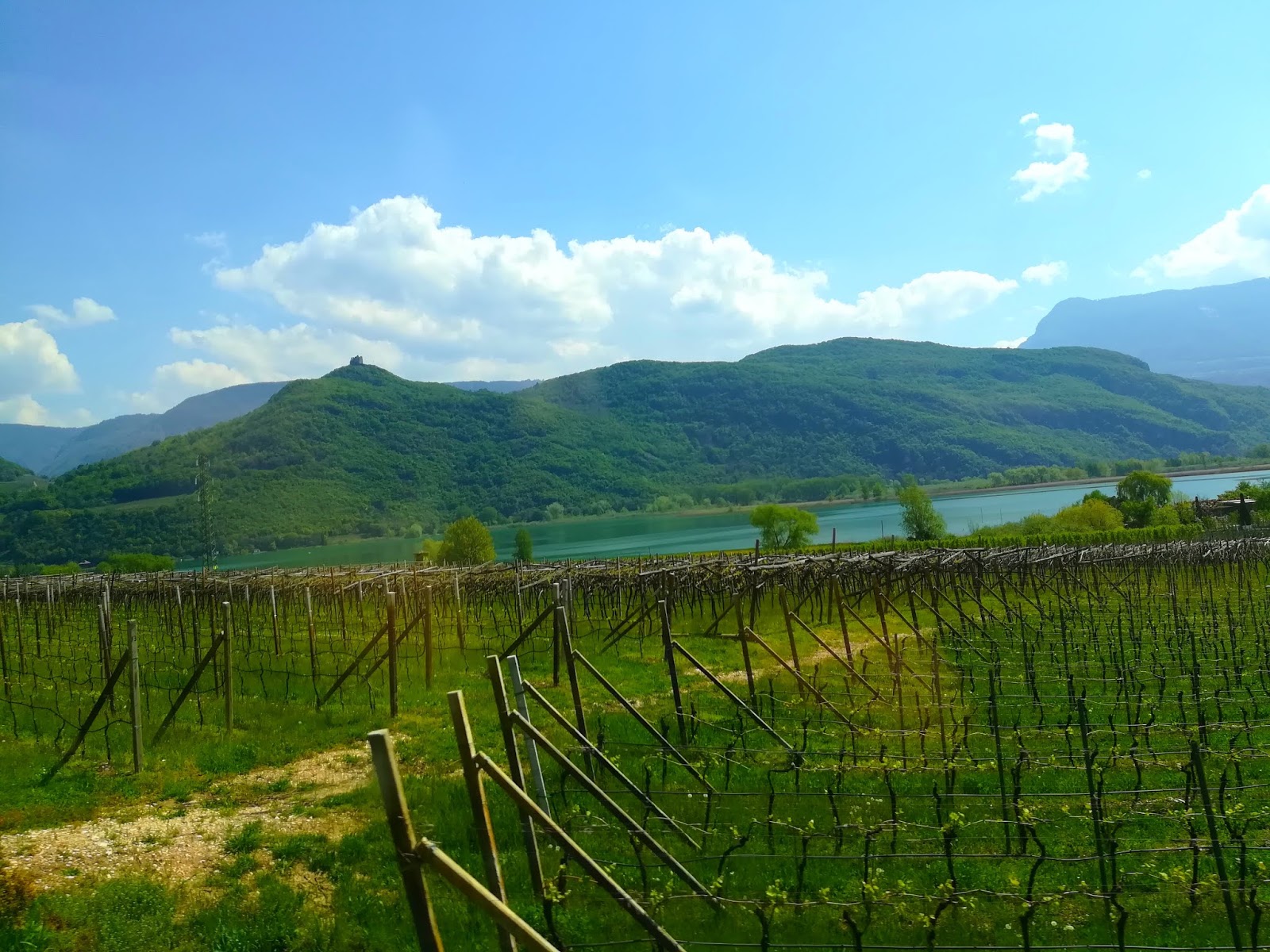 Caldaro, sulla strada del vino