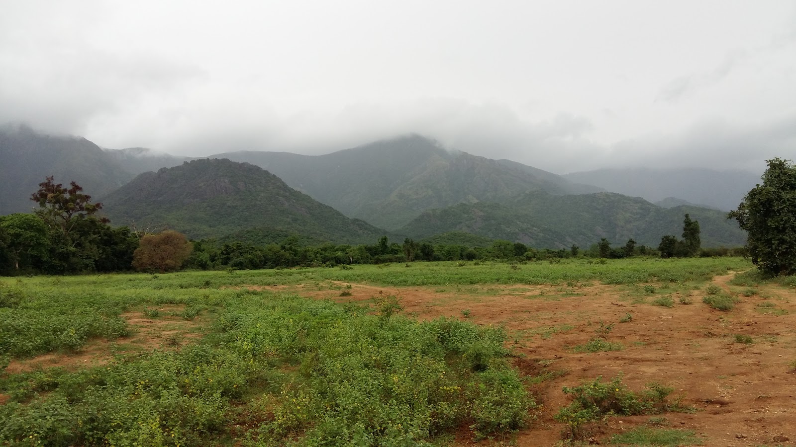 AGRI LANDS 32 ACRES CHEAP FERTILE AGRI LAND FOR SALE WITH FREE ELECTRICITY