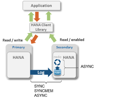 Transforming Database Management with the new SAP HANA 2 feature, Active/Active read-enabled