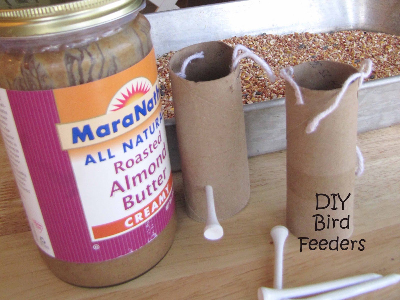 DIY Bird Feeders School Time Snippets