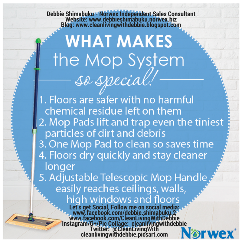 Norwex Mop System