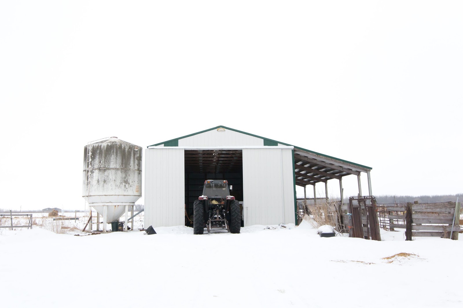 ROYAL LEPAGE Carman Acreage opportunity