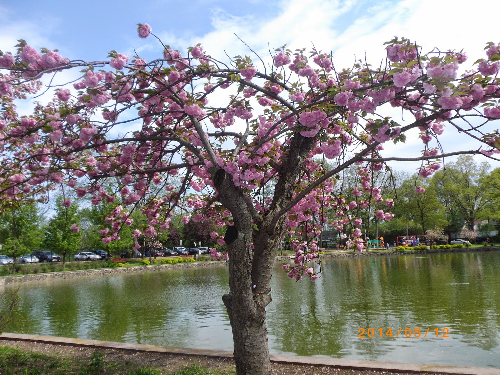 The Great Lakes of NYC New Hyde Park
