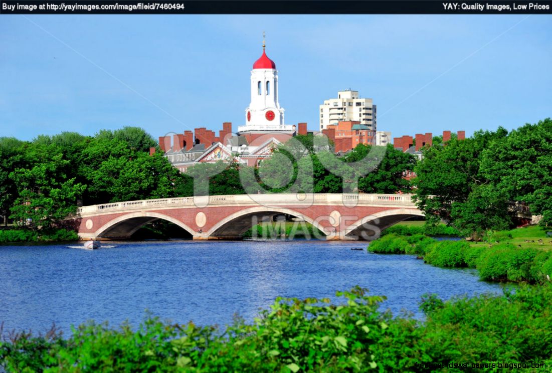 Wallpapers Harvard University Campus 1210x810  298367 harvard