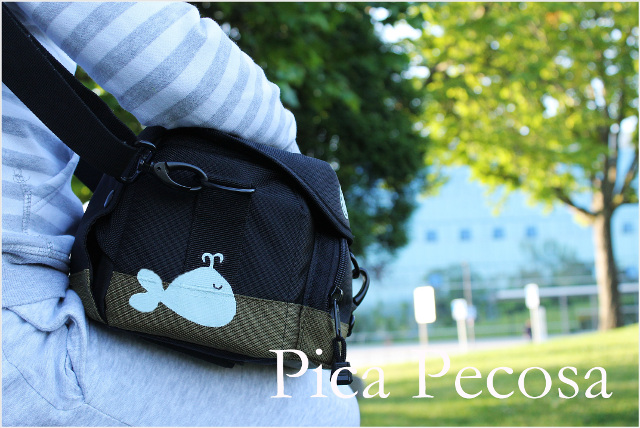 como-personalizar-funda-camara-fotos-con-chalk-paint