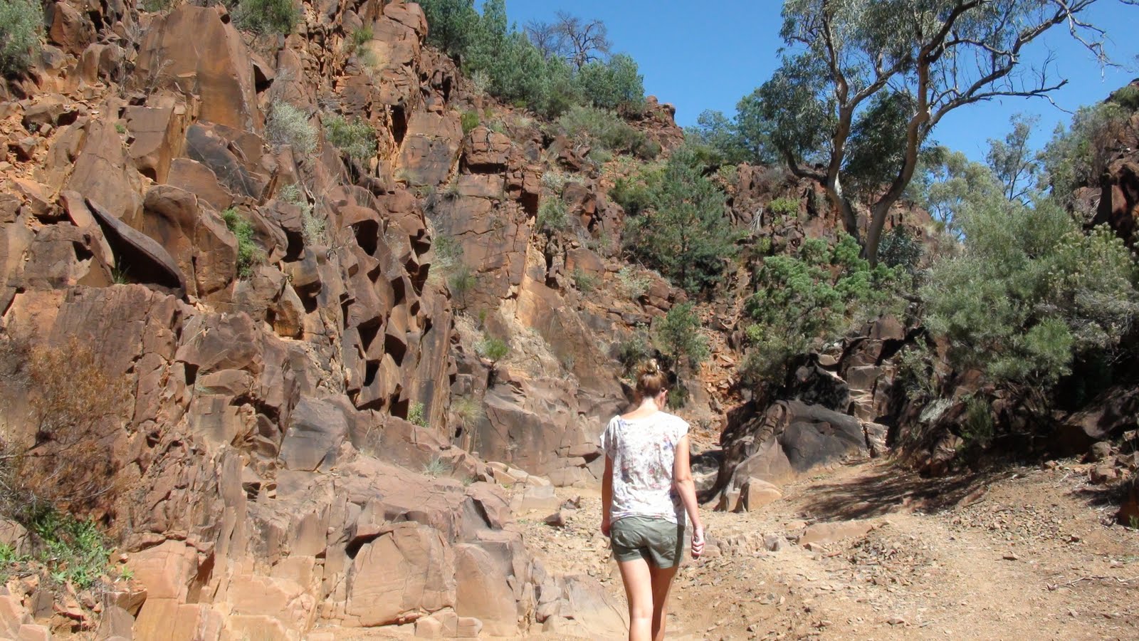 Tripping Over Port AugustaFlinders Ranges