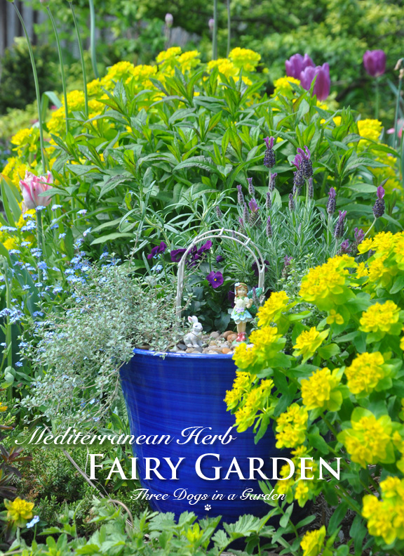 Three Dogs in a Garden Creating An Ornamental Herb Garden