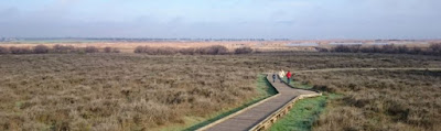 Las Tablas de Daimiel, provincia de Ciudad Real. Las Tablas de Daimiel, provincia de Ciudad Real.